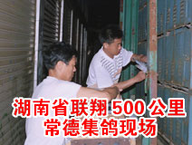 ����ʡ����500���ﳣ�¼����ֳ�
