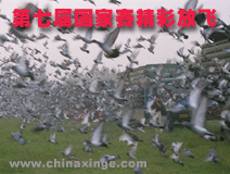 ���߽������֣�������ŷɾ���˲��
