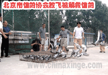 �������Ÿ�Э����������������켰�ŷ����ͨ��