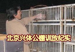 �������幫��ѵ�ż�ʵ
