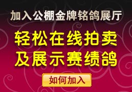 ��ӭ���빫���������չ��