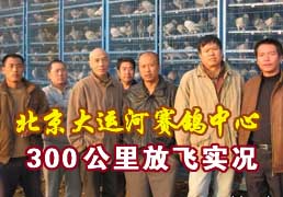�������˺���������300����ѵ��