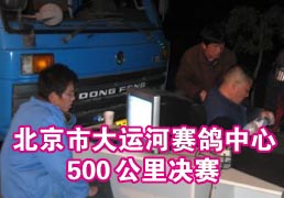 �������˺���������500�������