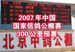 2007���й������Ÿ빫����300����Ԥ��