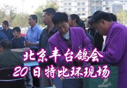 ��̨���20���رȻ��ֳ�