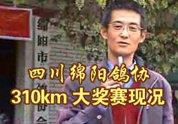 �Ĵ�������Э310km�����ֿ�