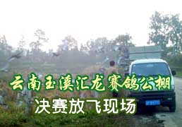 ���ϻ�����������ŷ��ֳ�