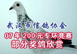 �人�Ÿ�Э�Ჿ�ֽ�������