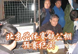 �����������빫��Ԥ����ʵ