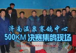 ������Ȫ��������500KM���������ֳ�