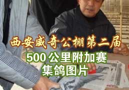 �������湫��500���︽��������ͼƬ
