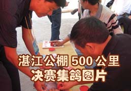 տ������500�����������ͼƬ