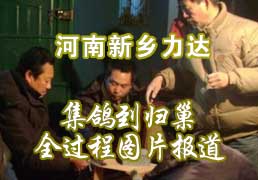 �������﹫�Ｏ�뵽�鳲ȫ����