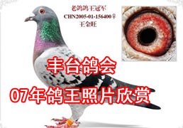 ��̨���07�������Ƭ����