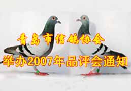 �ൺ���Ÿ�Э��ٰ�2007��Ʒ����֪ͨ