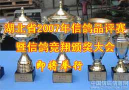���ھٰ�2007�����ʡ�Ÿ�Ʒ���������ߵ��߽����󱭰佱����֪ͨ