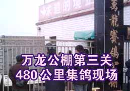 �������������480���Ｏ���ֳ�