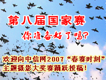 �ڰ˽����������ֱ��ר�ⱨ��