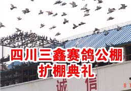�Ĵ��������빫���������