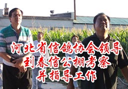 �ӱ�ʡ��Э�쵼�����Ź��￼��ָ��