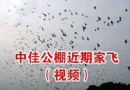 �мѹ�����ڼҷ�