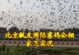 ������ѹ������빫��ҷ�ʵ��