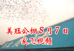 ���幫��ҷ���Ƶ
