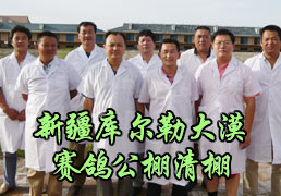 �½���Į���빫������