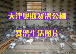 ���������빫����������ͼƬ