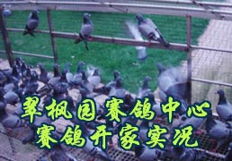 ���԰�����������뿪��ʵ��