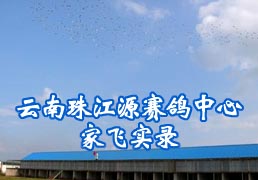 �����齭Դ�������ļҷ�ʵ¼