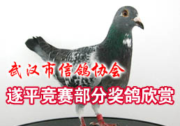 �人��Э��ƽ�������ֽ�������