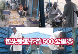 ��ͷ���ǿ���500�������