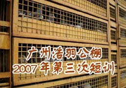 ���ݺ���������ζ�ѵ