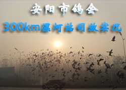 �����и��300km���վ˾��ʵ��