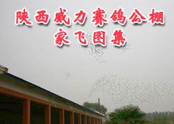 �����������빫��ҷ�ͼ