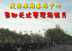 ����������Ĺر����ֳ���Ƭ