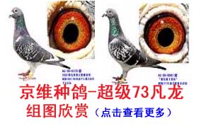 ��ά�ָ�-����73������ͼ����