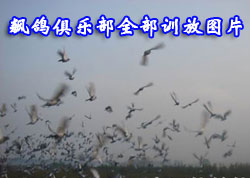 쭸���ֲ�ȫ��ѵ��ͼƬ