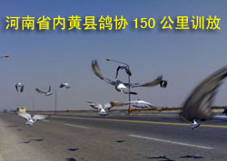 ����ʡ�ڻ��ظ�Э150����ѵ��ʵ��
