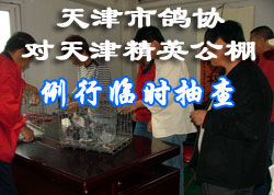 ����и�Э�����Ӣ����������ʱ���