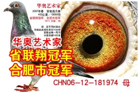 ����-ʡ����ھ� �Ϸ��йھ�