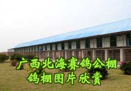 �����������빫��ĸ�������