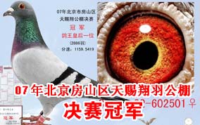 07�걱���������������ھ�