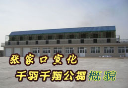 �żҿ�����ǧ��ǧ�蹫���ò