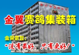 ������ҵ-���뼯װ��