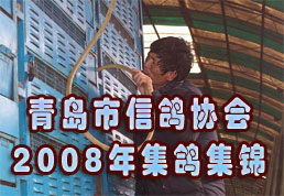 �ൺ���Ÿ�Э��2008�꼯�뼯��