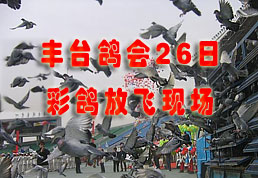 ��̨���26�ղʸ�ŷ�ͼƬ