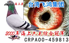 ̨��ɺ�-2000�꺣�������ۺϹھ�