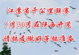 ����ʡǧ��������5��30������������